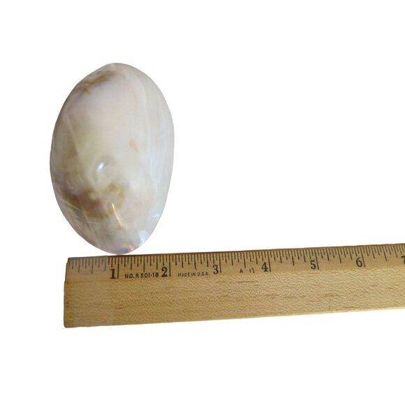 Vintage Charmant Iridescent Shell Buckle and Stretch Belt - Picture 6 of 7